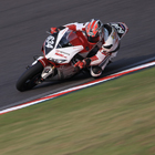 2012 Suzuka 8hours World Endurance Championship Race