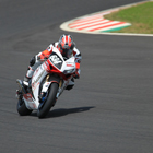 2012 Suzuka 8hours World Endurance Championship Race