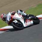 2012 Suzuka 8hours World Endurance Championship Race