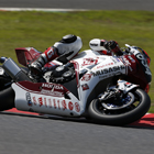 2015 Suzuka 8hours World Endurance Championship Race