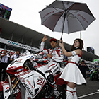 2015 Japan Roadrace Round1 SUZUKA 2&4
