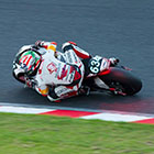 2016 Suzuka 8hours World Endurance Championship Race