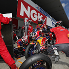 2019 Suzuka 8hours World Endurance Championship Race