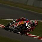 2019 Suzuka 8hours World Endurance Championship Race